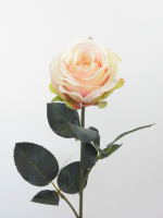 Rose gefuellt Madame 1Bl,9Lb L37cm champ.-rosa 1333-02