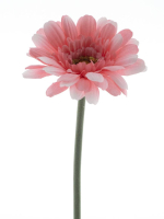 Gerbera Minako 47cm pink 13571-7