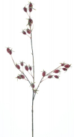 Hagebutten-Zweig ca. 70cm rot 13594-3