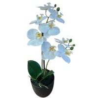 Orchidee x2 im Topf, 41cm weiss 190091-11