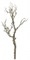 Ast knorrig ca. 67,5cm braun 220065-62