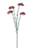 Statice rot 64cm 22672-3