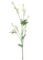 Sanikle Dolde creme 68cm 22676-0