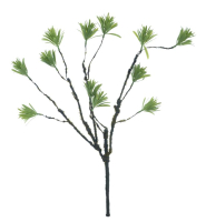 Eiben-Zweig gruen 60cm 22699-1