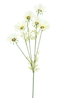 Cosmea-Zweig Aerosol creme 79cm 22759-0