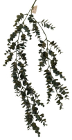 Eucalyptushaenger 2El L97cm gruen 230296-42