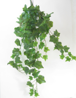 Efeu-Busch 70cm gruen 232704-42