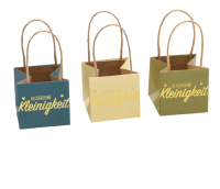 Papier-Pflanztasche Kleinigk." sort. 10,5x10,5x10,5cm 23PXP06"