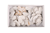 Birken-Streuherzen breit geweisst, 3,5cm 25BRW01