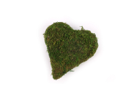 Moos-Herz spitz 7,5x7,5x4cm 25MO01