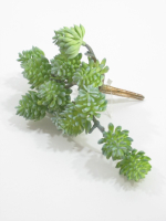 Sukkulente L12cm gruen/grau 280290-81