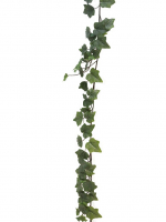 Efeu-Girlande Chicago gruen-frost 180cm 31005-0