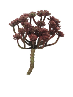 Cacta bordeaux 19cm 31277-6