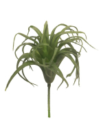 Tillandsien Pick gruen 17cm 31866-0