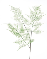 Asparagus-Zweig gruen 80cm 32963-1