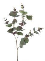 Eukalyptus-Zweig herbst-gruen 81cm 33041-3