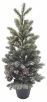 Tannenbaum im Topf gefrosted, H47cm gruen 380114-42