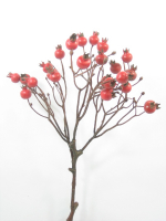 Hagebuttenzweig, 54cm rot 520026-26