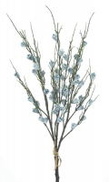Eucalyptus m. Fruechten Bd. m. 3 Zweigen ca. 61cm gruen-betaut 72156-0