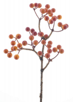 Beeren-Pick Aulac orange ca. 26cm 72177-5