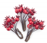Beerenpick rot Btl. m. 3 Bd. 72244-3