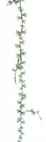 Laerchen-Girlande mini gruen ca. 162cm 72255-1