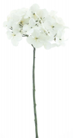 Hortensie Caseros creme ca. 48cm 72321-0