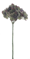 Hortensie Caseros gruen ca. 48cm 72321-1