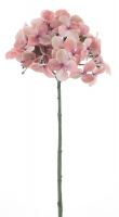 Hortensie Caseros rosa ca. 48cm 72321-7