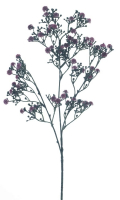 Schleierkraut-Zweig lila ca. 60cm 72341-6