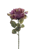 Brandy-Rose Monica ca.50cm beauty 72355-6