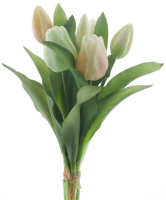 Tulpenbund Vermeer Sally gelb/gruen 31cm 93292-35