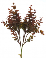 Eucalyptus-Bund burgund ca. 39cm 95095-3